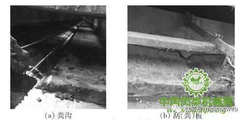 生豬養(yǎng)殖設施工程技術研究現(xiàn)狀與發(fā)展分析